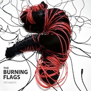 DVD/Blu-ray-Review: The Burning Flags - Pathways