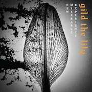 DVD/Blu-ray-Review: New Miserable Experience - Gild The Lily