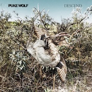 DVD/Blu-ray-Review: Puke Wolf - Descend